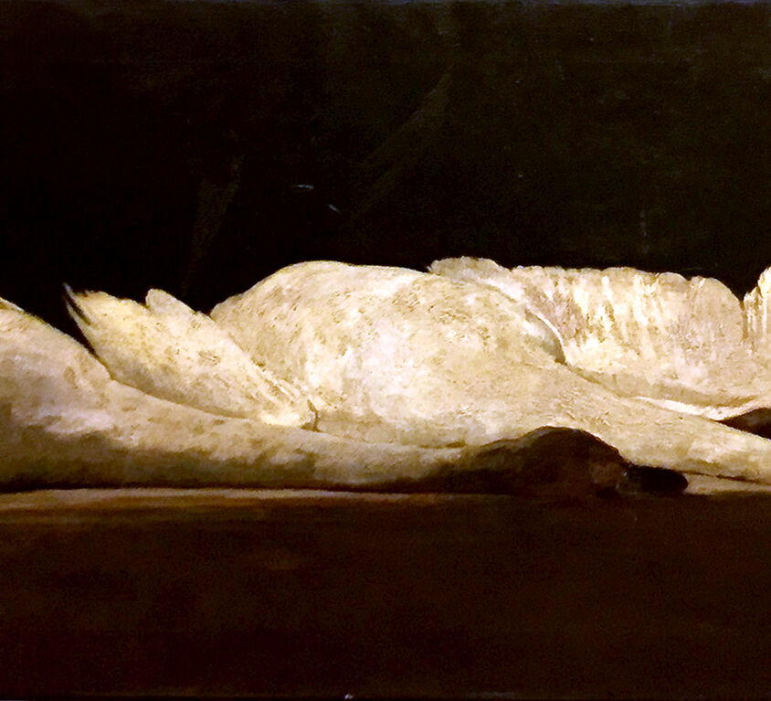 Emil Carlsen : Still-life with dual swans, 1886.